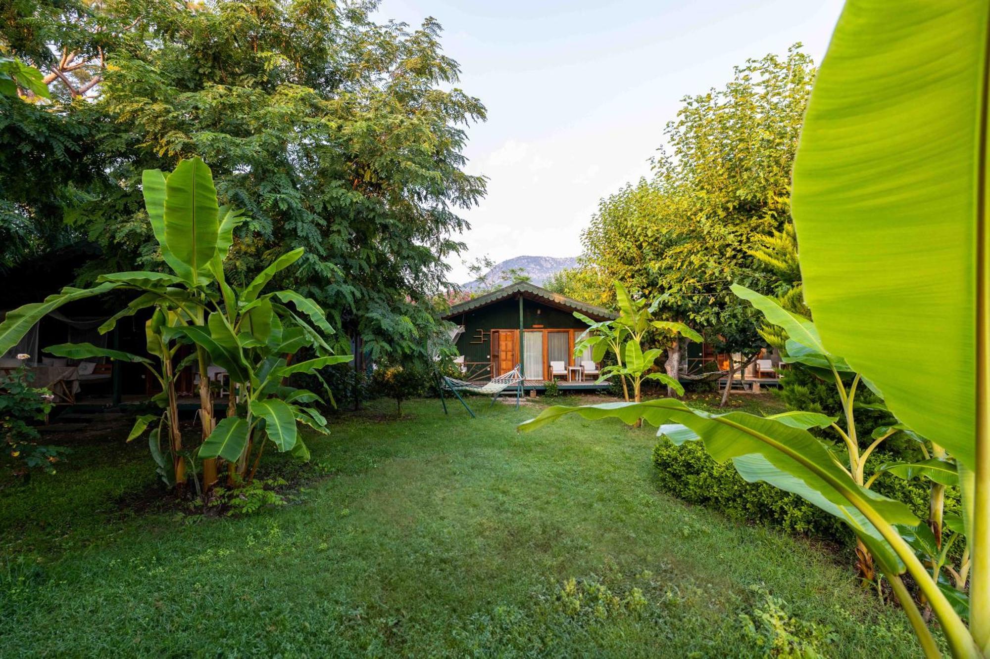 Bed & Breakfast Etenna 3*