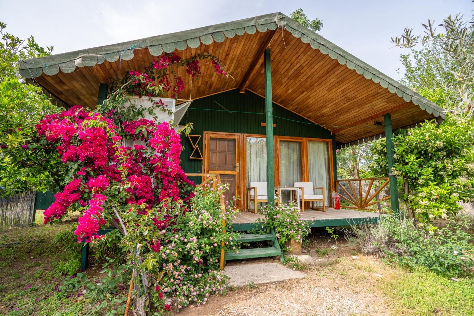 Etenna Bed & Breakfast