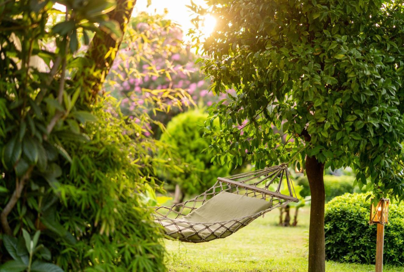Etenna Bed & Breakfast